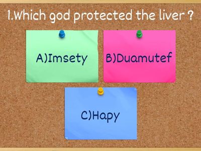 Y3 Class Assembly quiz