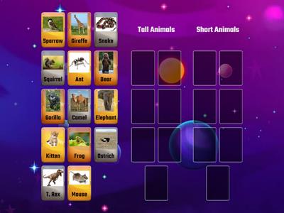 Animal Size Sort