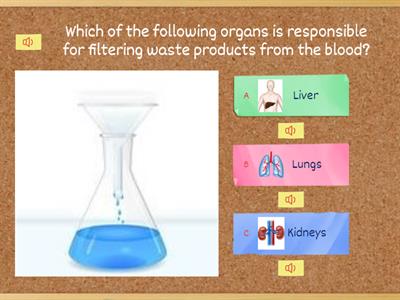 The Excretory System and it's Importance