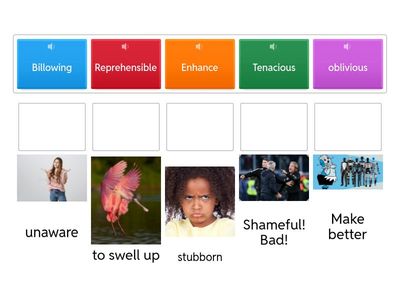 High Frequency High School Vocab words - Cross Keys HS