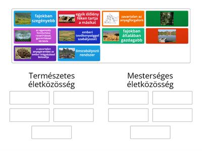 Életközösségek fajtái