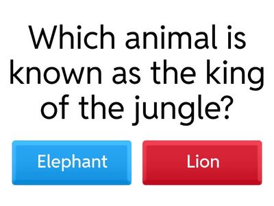 ANIMALS AND CUESTIONS