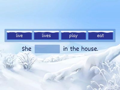 Unit 4 Present Simple he/she