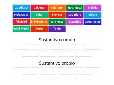 Sustantivo común y propio