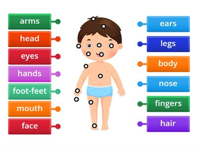 OPW2-explore 1-body part