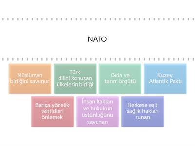 ULUSLARARASI KURULUŞLAR ESRA HOCA