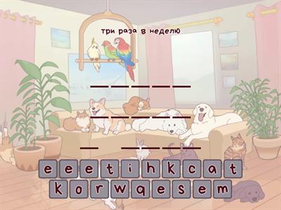 Adverbs of frequency 