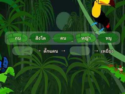 เกมห่วงโซอาหาร