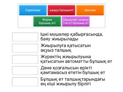 Сәйкестендіру