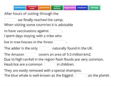 SO B1+ U5 Vocabulary