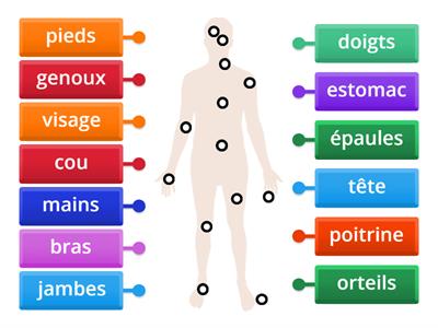 Parties du corps (KL Keep Learning https://klkeeplearning.com/)