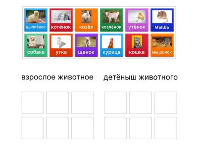 животные детёныши и родители