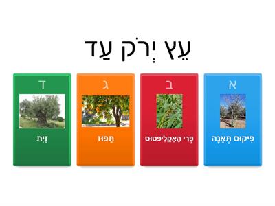 צמחים בעלי פרחים