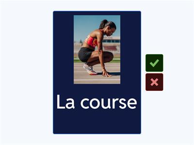 Le Sport Flashcards French to English