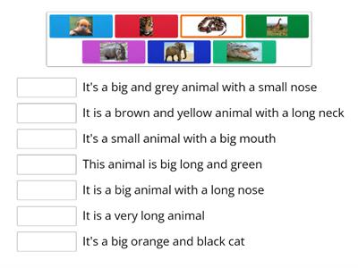 Kid's box 1 Unit 7 Wild animals