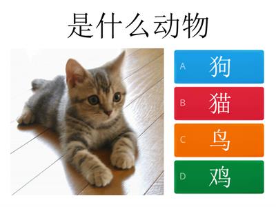 猜猜我是什么动物-Do you know?