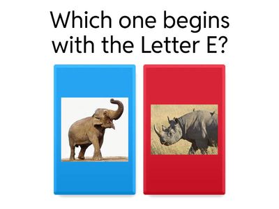 Letter E NEW