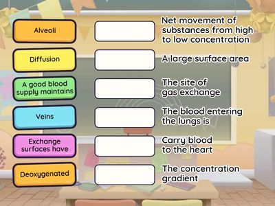 The circulatory and respiratory systems