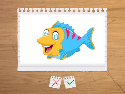 FUN FOR STARTER-UNIT 1: SAY HELLO