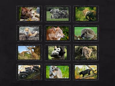 Убери всех хищников