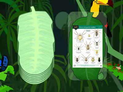 Super Minds, 3. animals