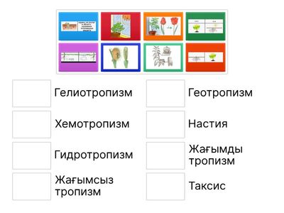 Өсімдік қозғалыстары