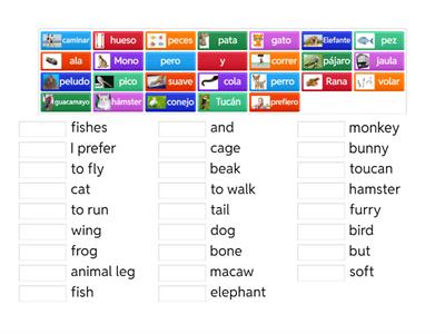 Jungle Animals Match