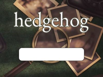 8과단어(한국어 뜻 맞추기)