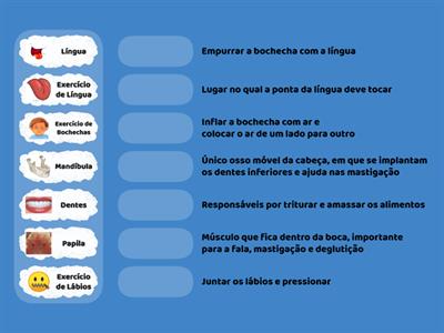 Motricidade Orofacial 2