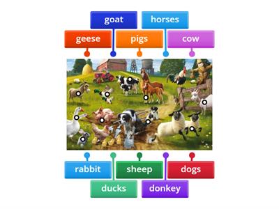 Farm animals