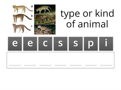 Vocabulary List 1 - Year 3