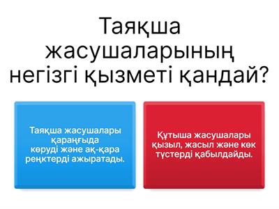 Анальды секстен кейін анусты қалай емдеуге болады