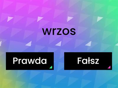 Ortografia Prawda czy Fałsz?