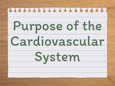 Cardiovascular System