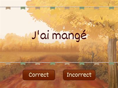 Passe compose - true or false - er verbs