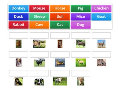 Farm Animals_2º_Picture-Vocabulary