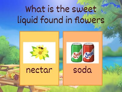 Honeybees and Pollination CKLA PLants 