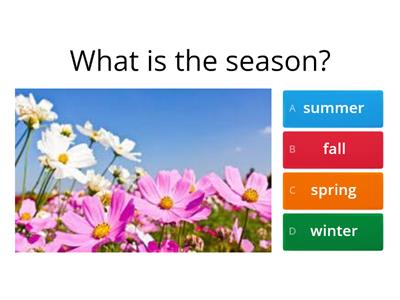 Seasons