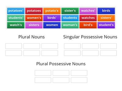 Plural, Singular Possessive, and Plural Possessive Nouns