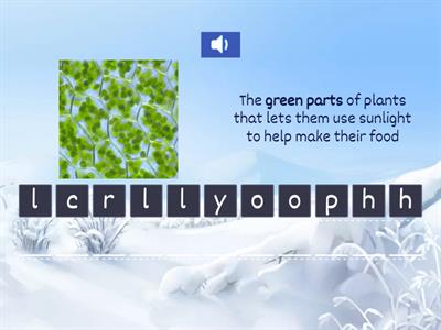 Unit 3B - Nature's Network