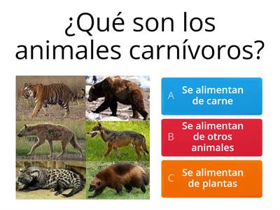 Nutrición de los animales