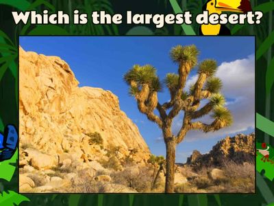 Comparative and Superlative Adjectives Quiz