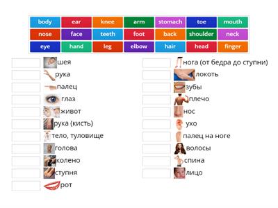   Form 5 Unit 5 Lesson 5 сопоставление