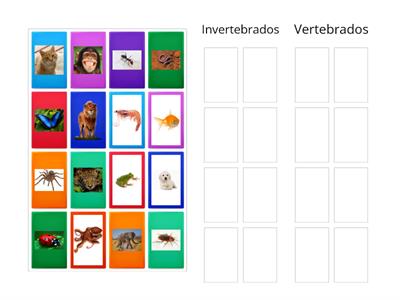  Animais Vertebrados e Invertebrados