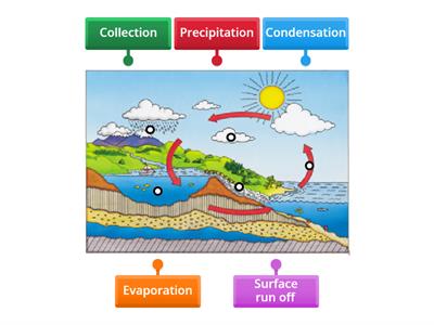 Water Cycle