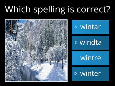 PE Weather Seasons and Months Quiz