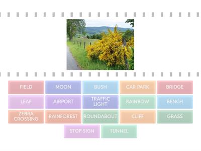 2 ESO OPTIONS 2 MODULE 6 MIXED VOCABULARY