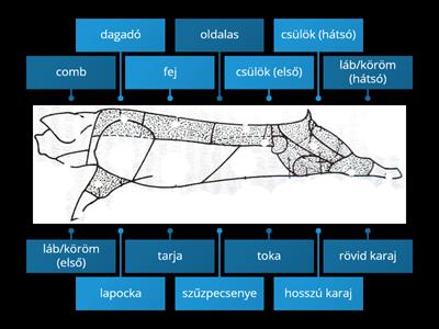Húsok - sertés bontási részei