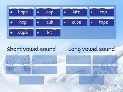Sort into short and long vowel sounds