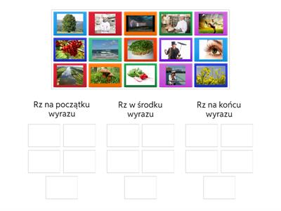 Gdzie jest rz